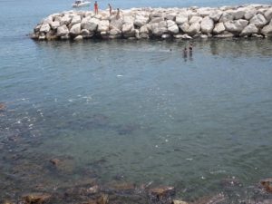 bagno tra i liquami a mappatella