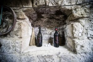 andar-per-cantine-il-dettaglio-di-una-cantina-a-succhivo-ph-lucia-de-luise